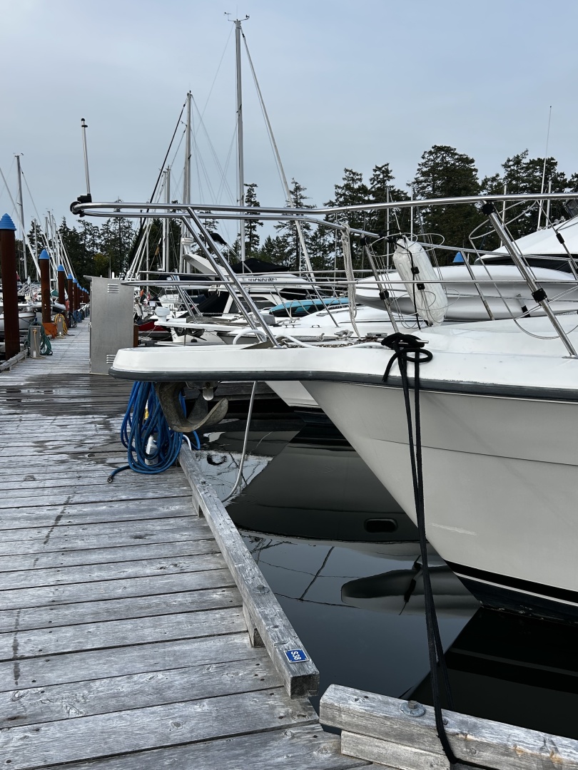 1994 Carver  390
