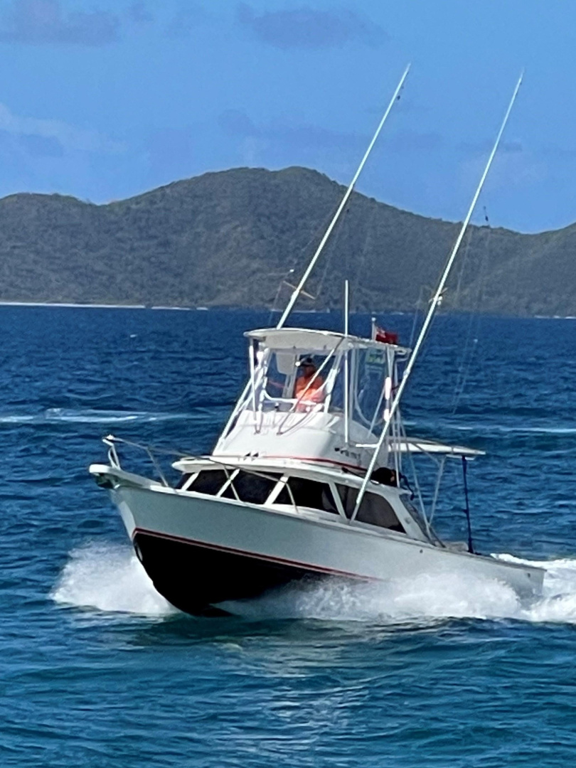 Double Diamond 31ft Bertram Yacht For Sale