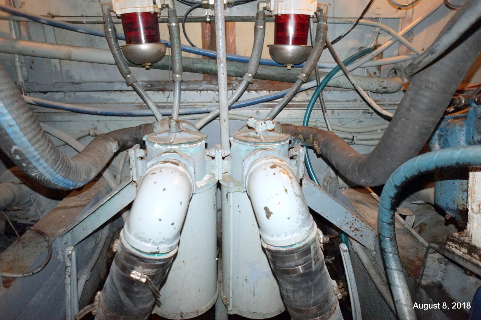 Picure of PAULIE'S PAULIE