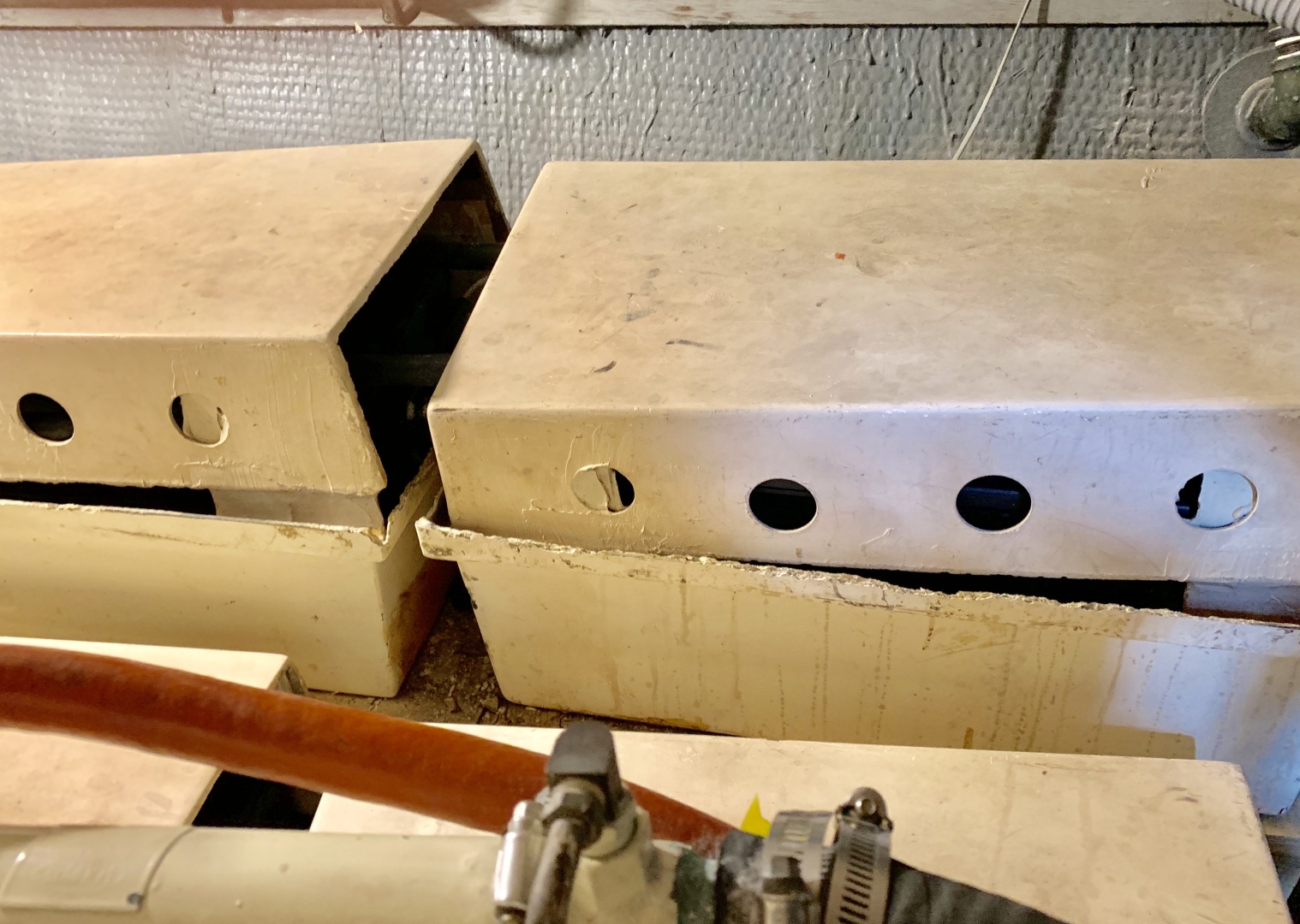 Picure of Morning Star