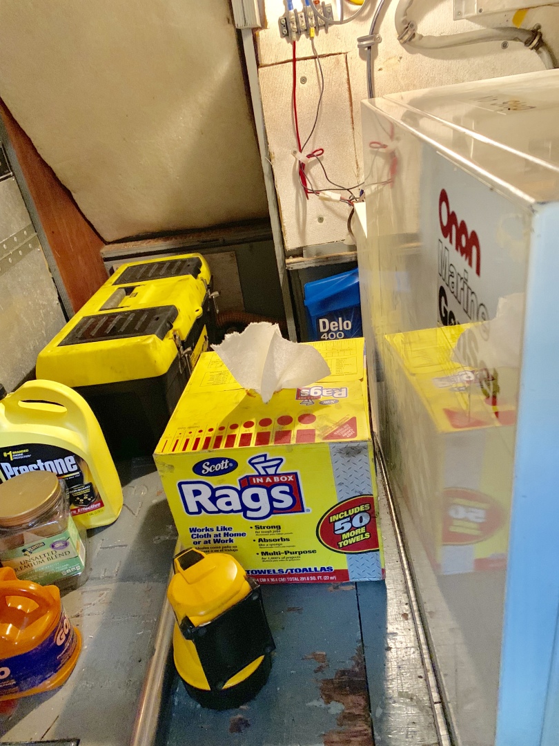 Picure of Morning Star