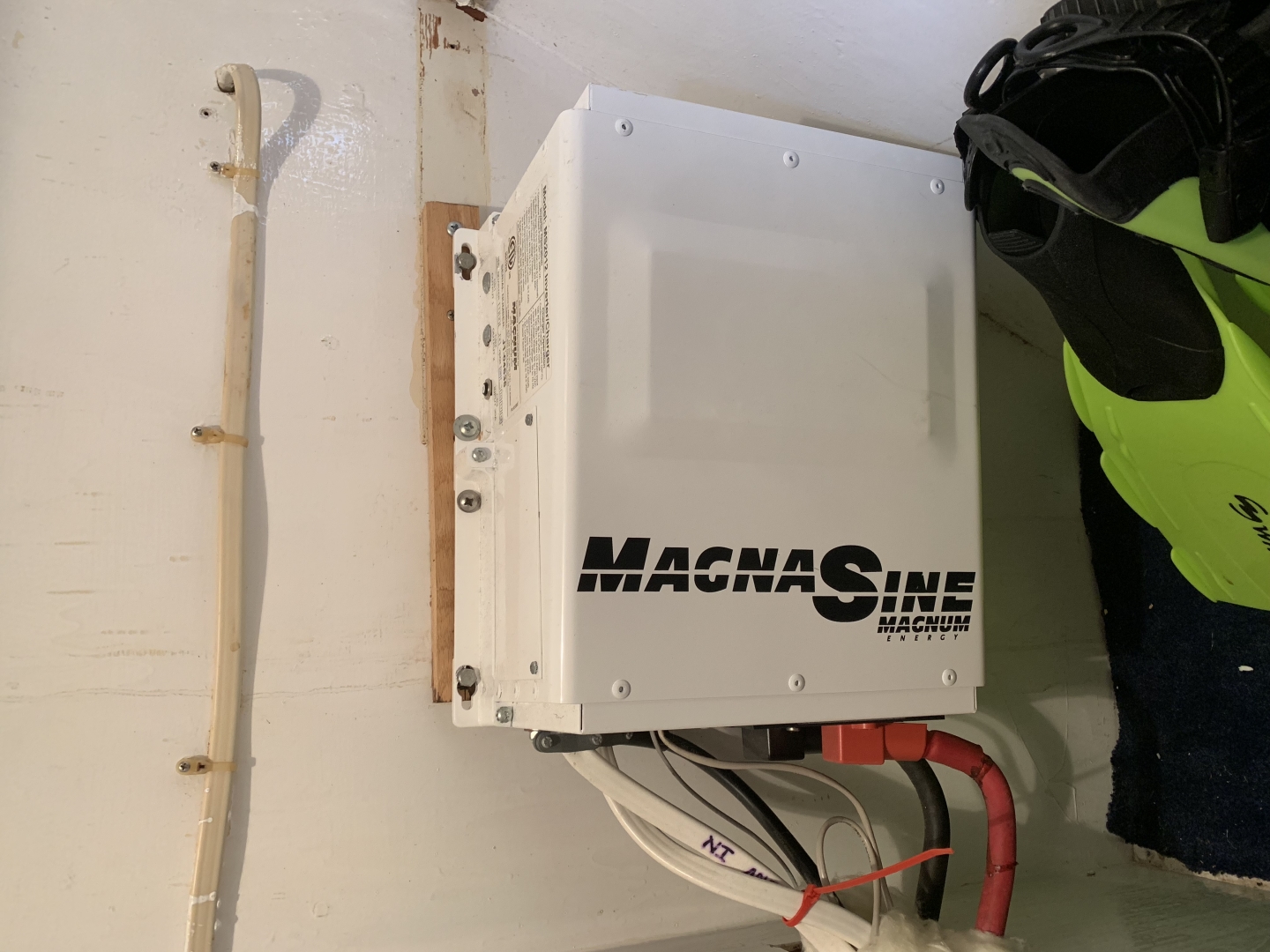 Picure of Morning Star