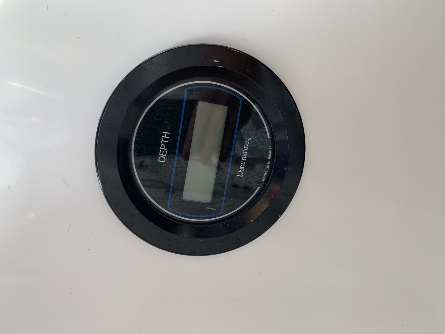 Picure of Morning Star