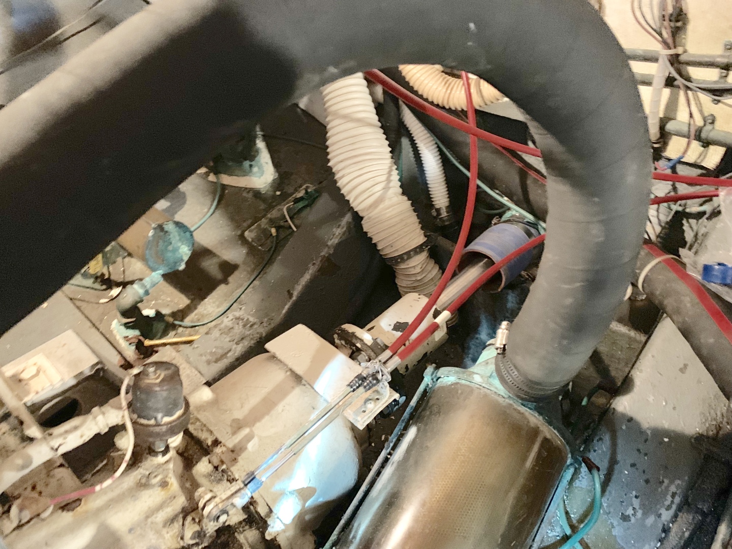 Picure of Morning Star