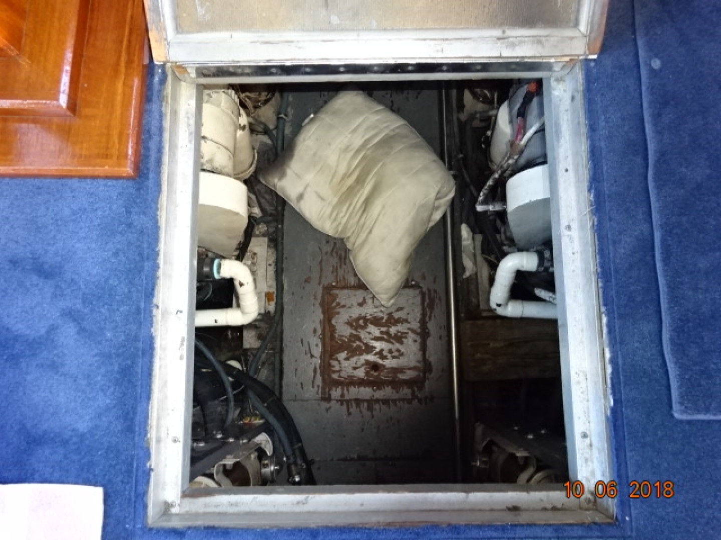 Picure of Morning Star