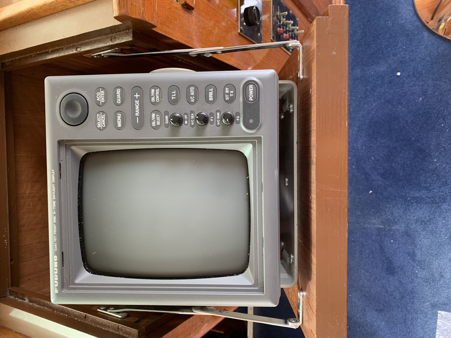 Picure of Morning Star