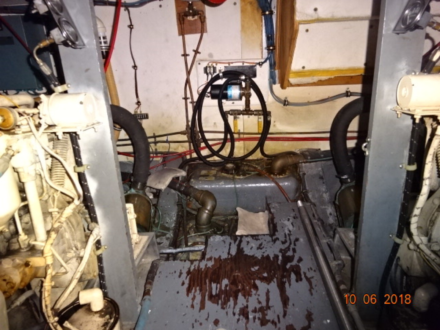 Picure of Morning Star