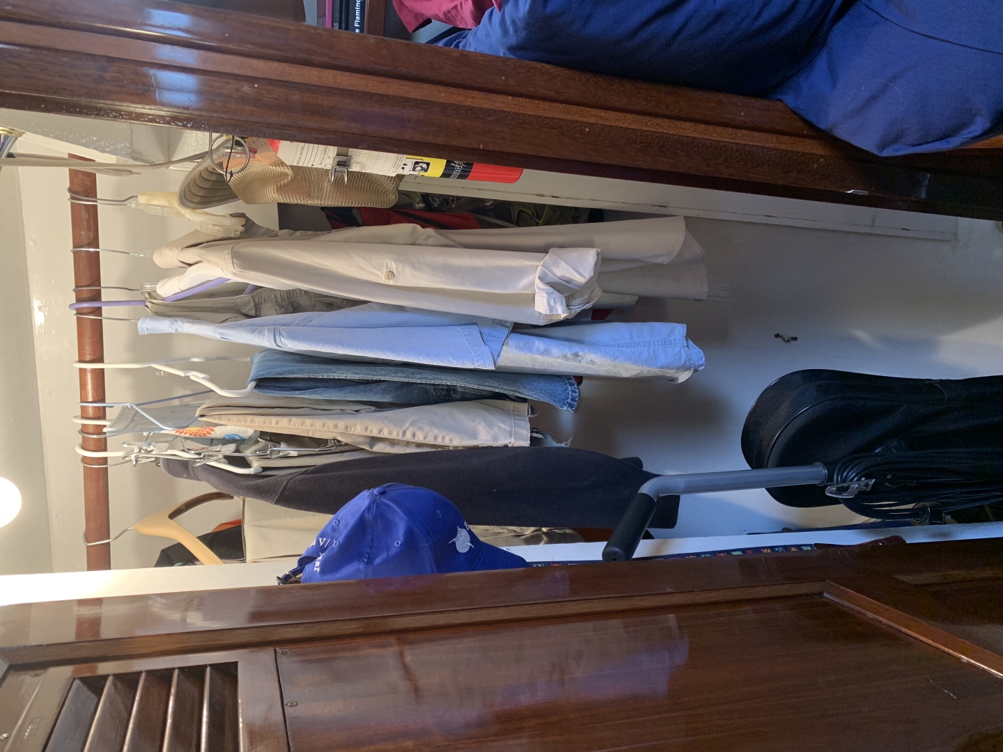 Picure of Morning Star