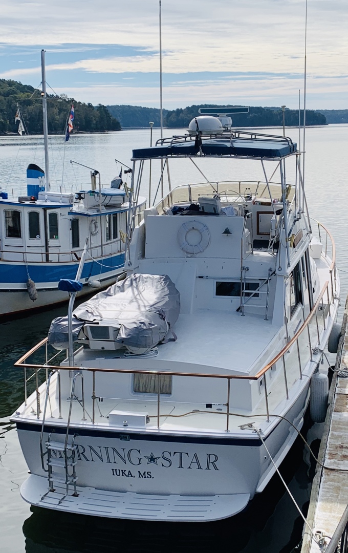 Picure of Morning Star