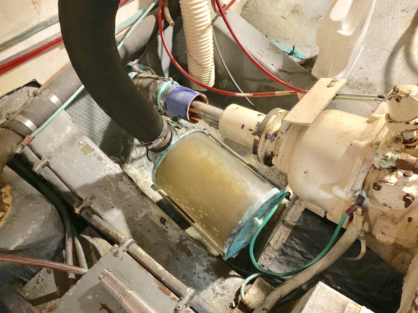 Picure of Morning Star