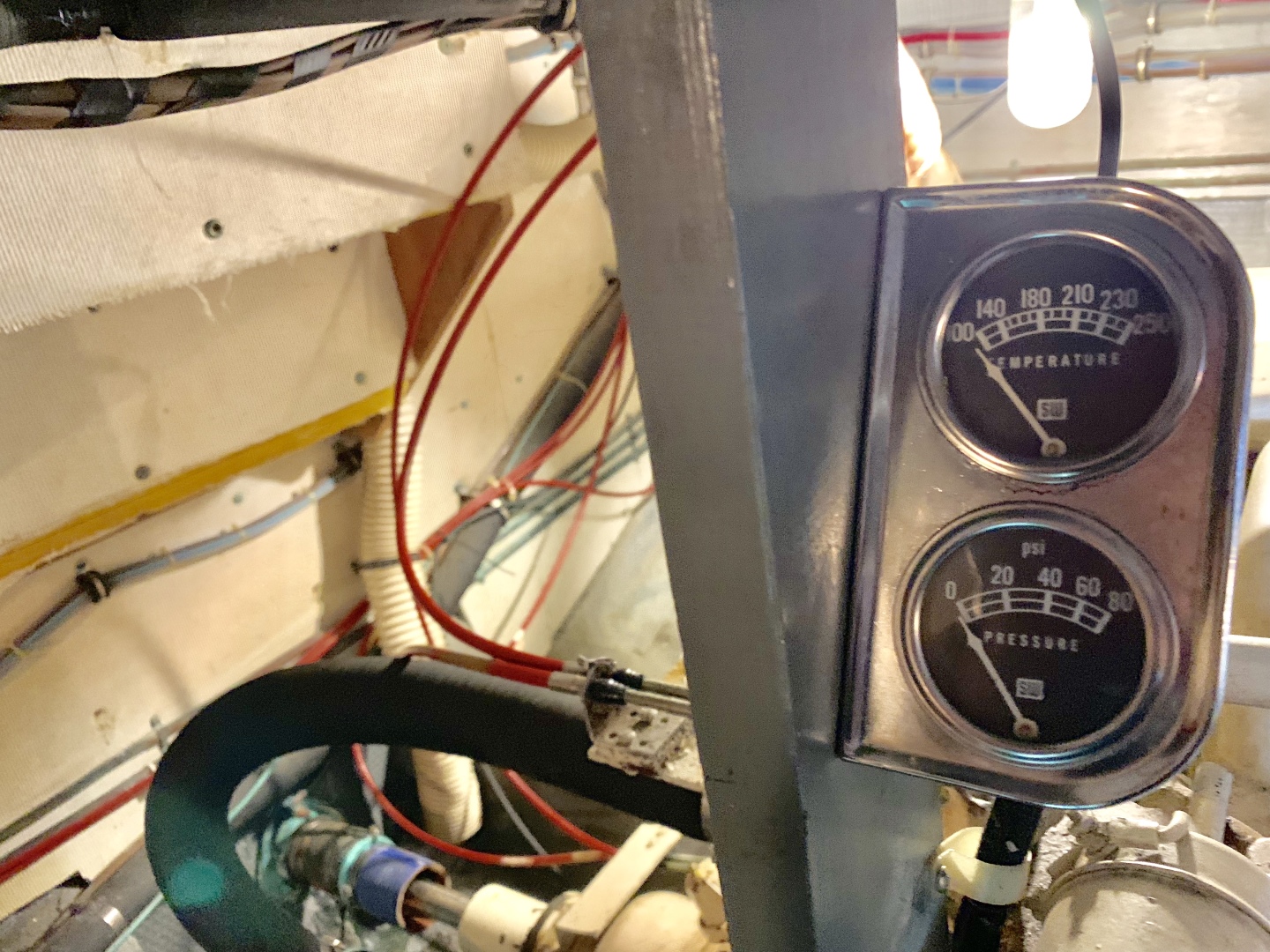 Picure of Morning Star