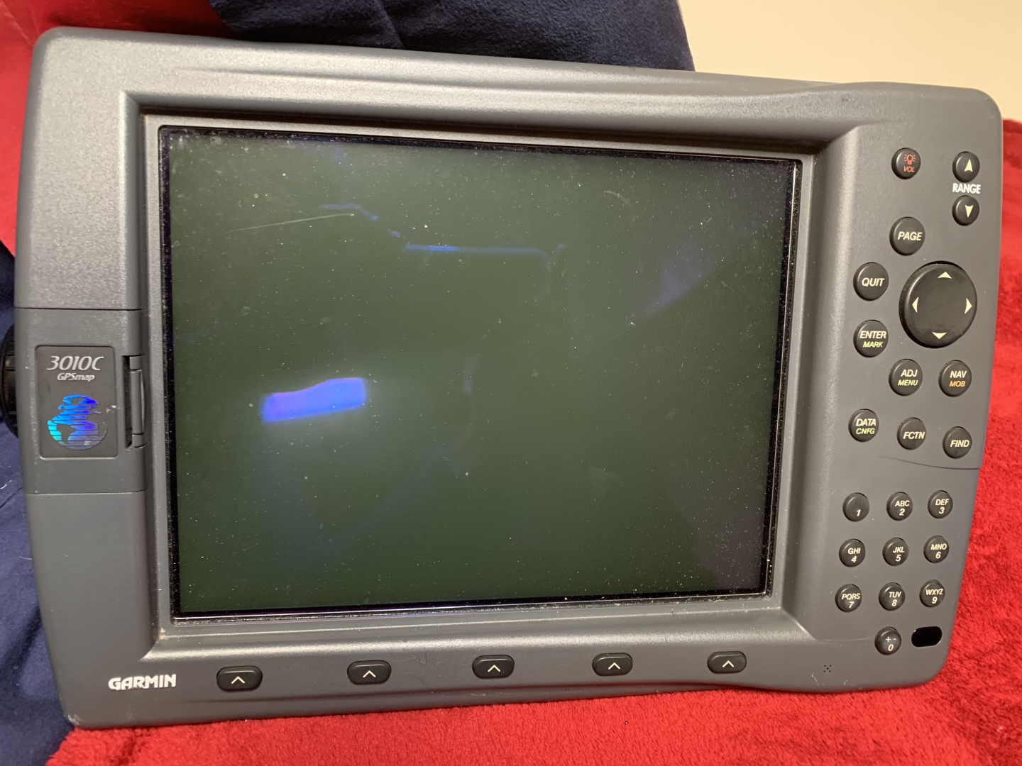 Picure of Morning Star