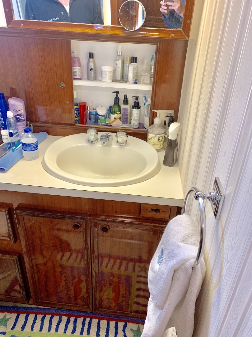 Picure of Morning Star