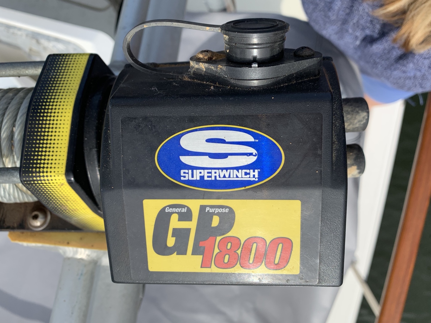 Picure of Morning Star