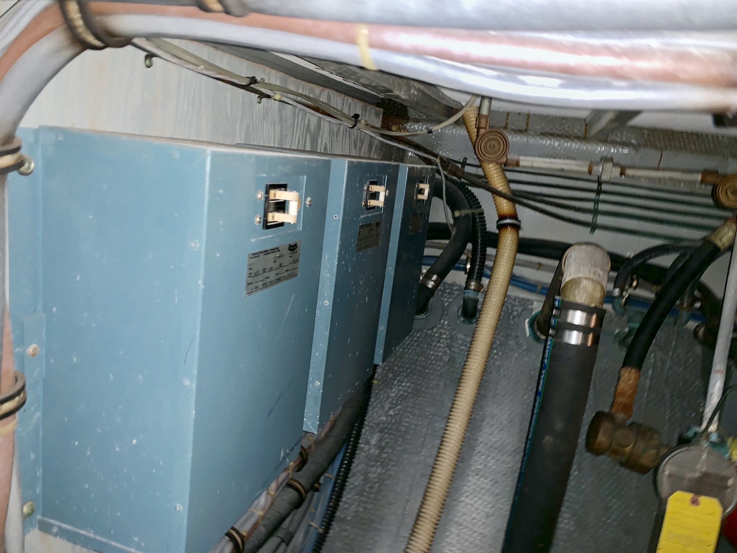 Picure of Morning Star