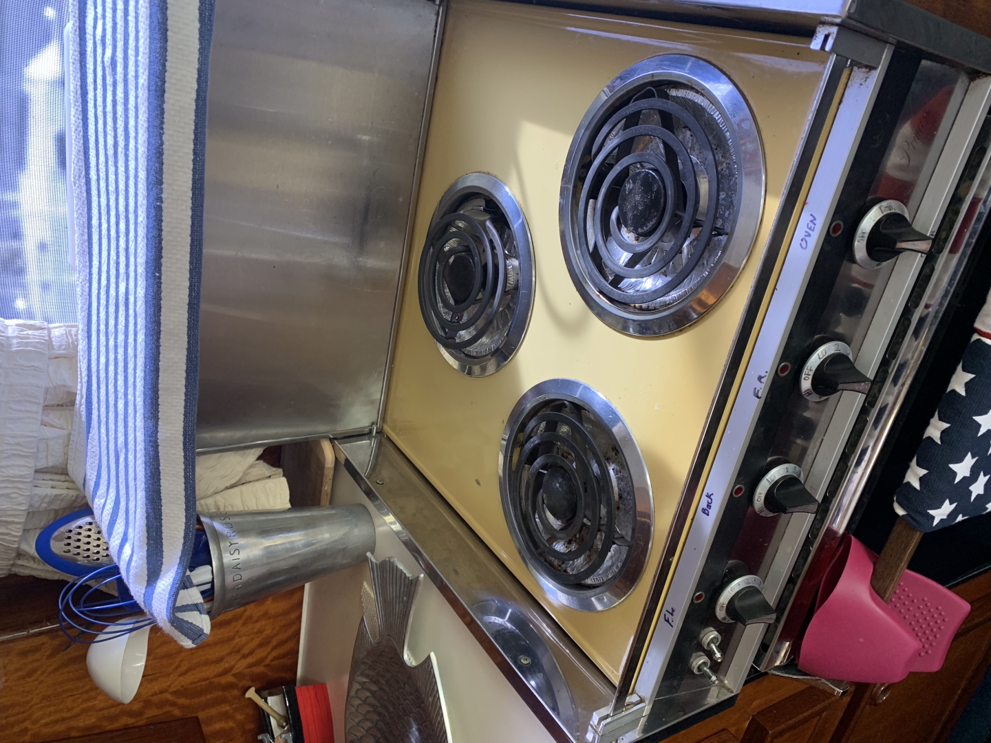 Picure of Morning Star