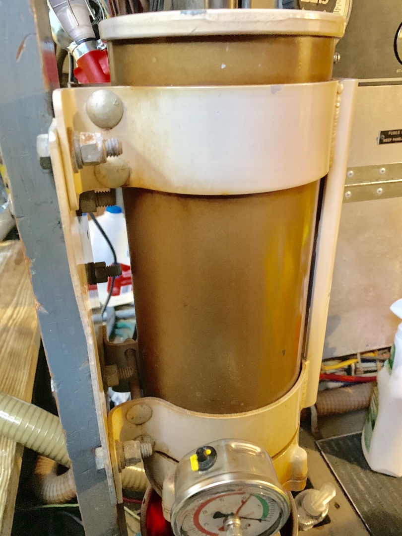 Picure of Morning Star