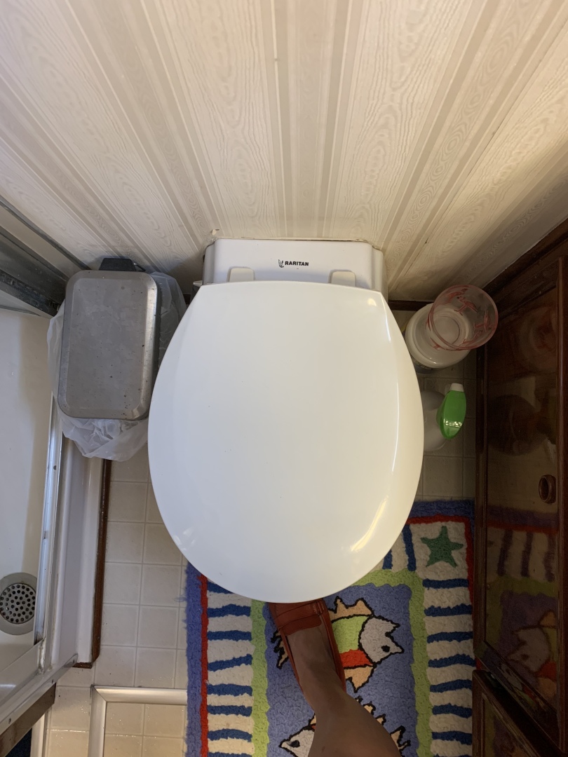 Picure of Morning Star