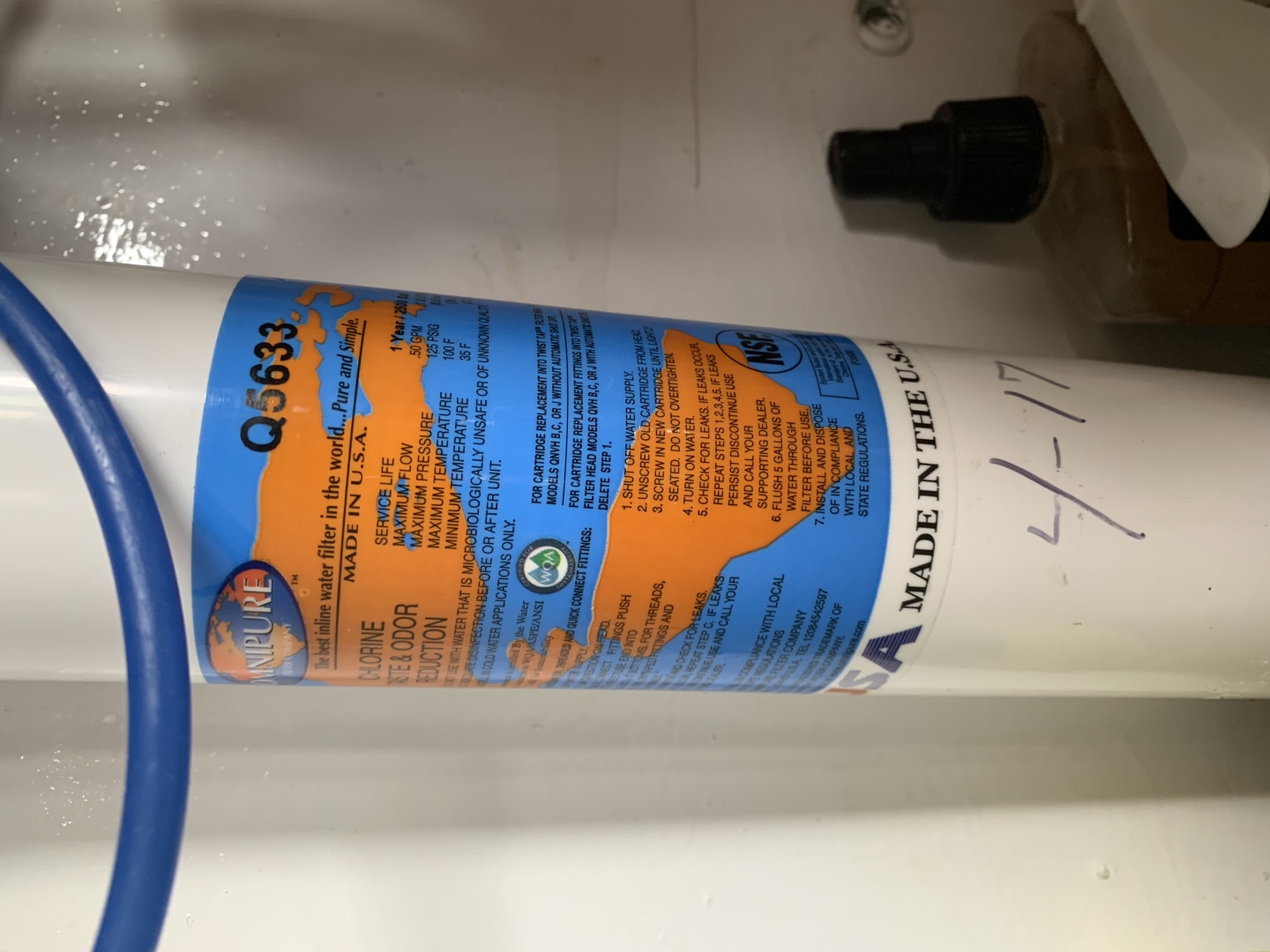 Picure of Morning Star