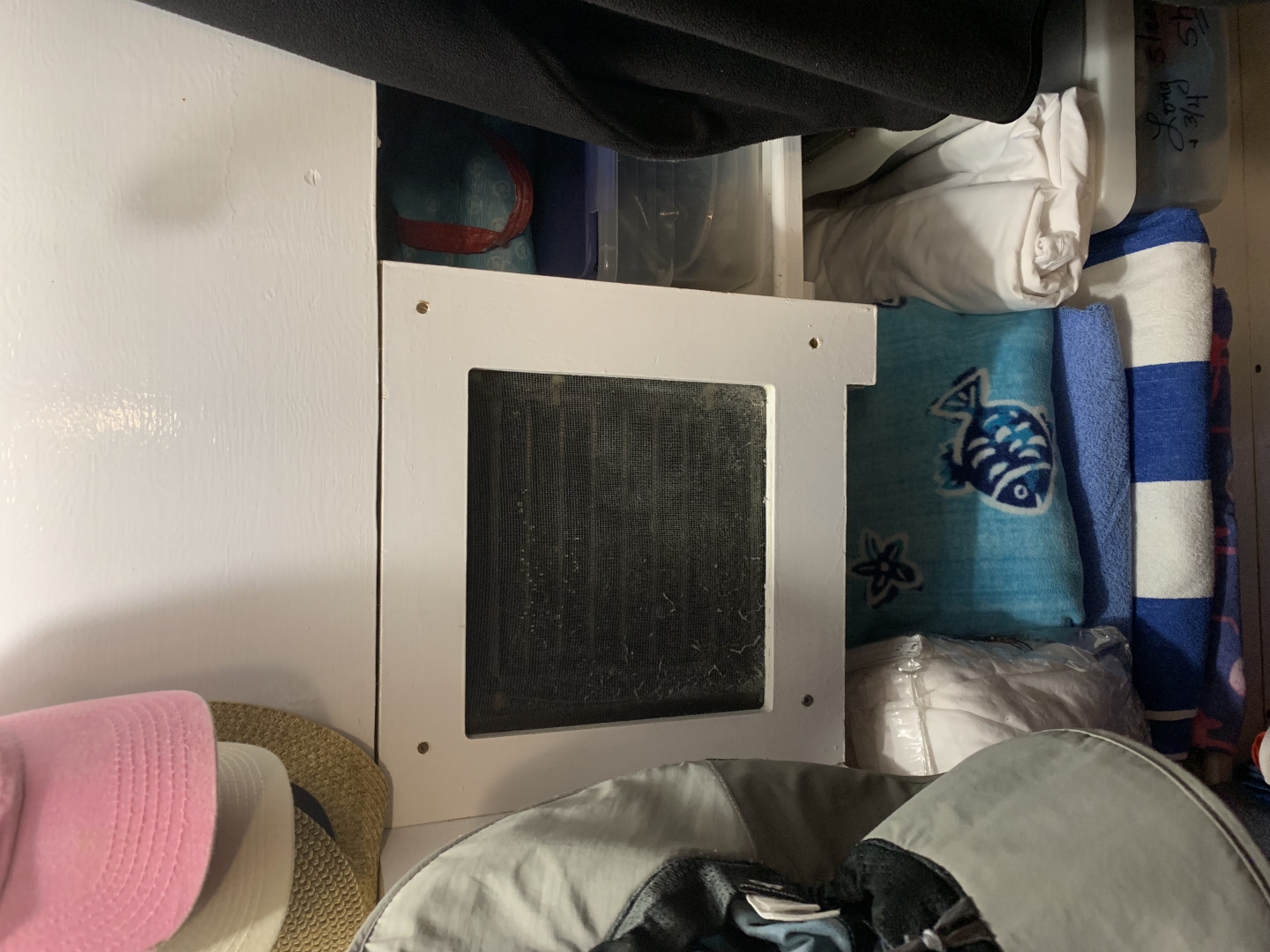 Picure of Morning Star