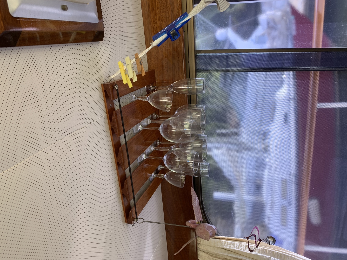 Picure of Morning Star