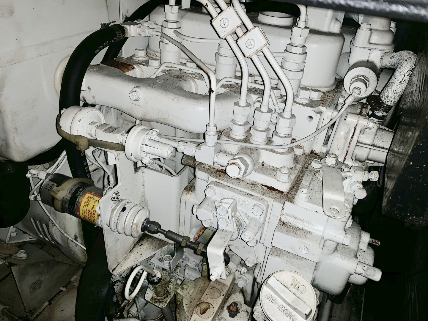 Picure of Morning Star