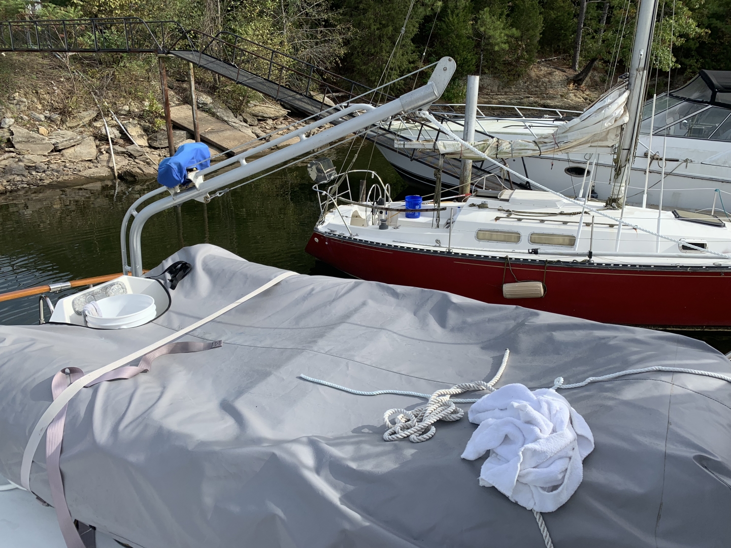 Picure of Morning Star