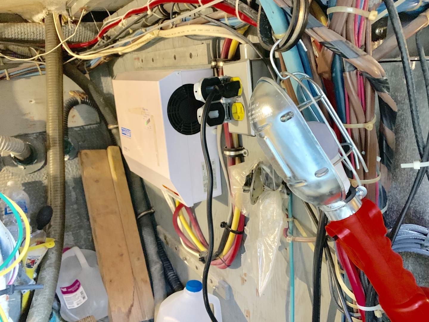 Picure of Morning Star