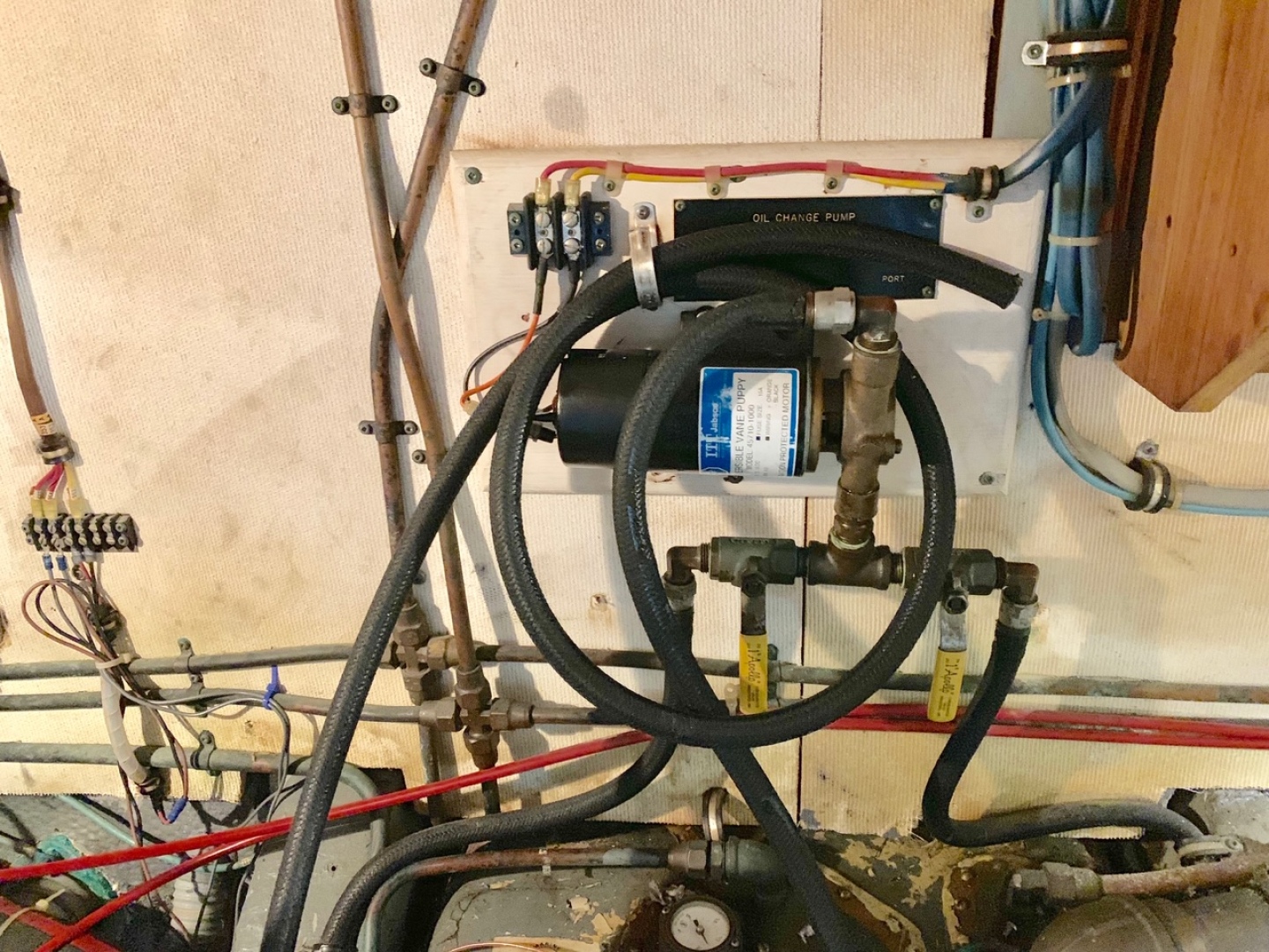 Picure of Morning Star