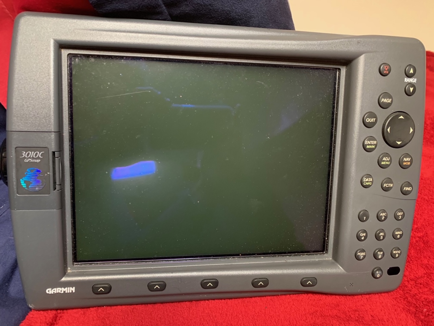 Picure of Morning Star