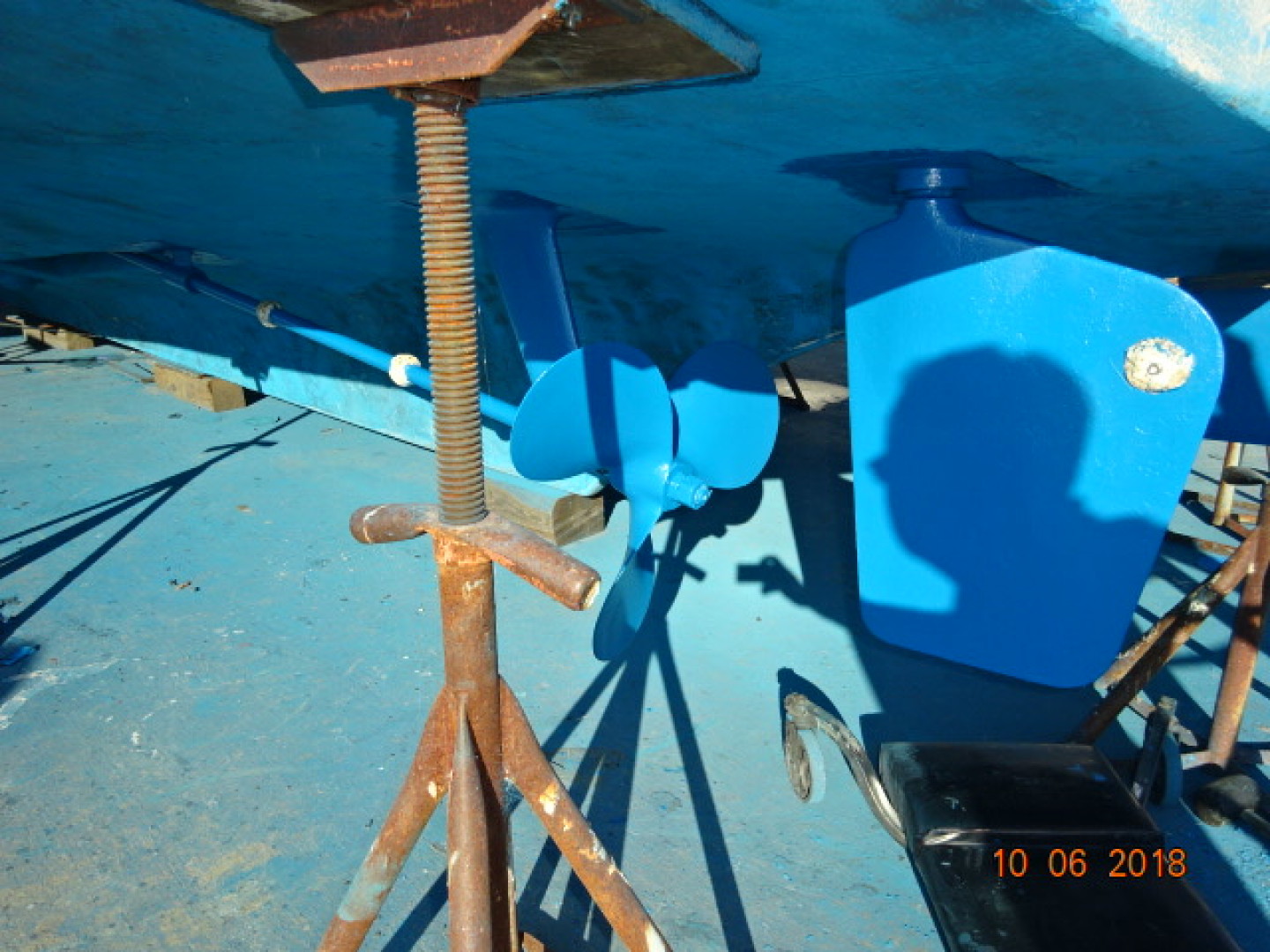 Picure of Morning Star