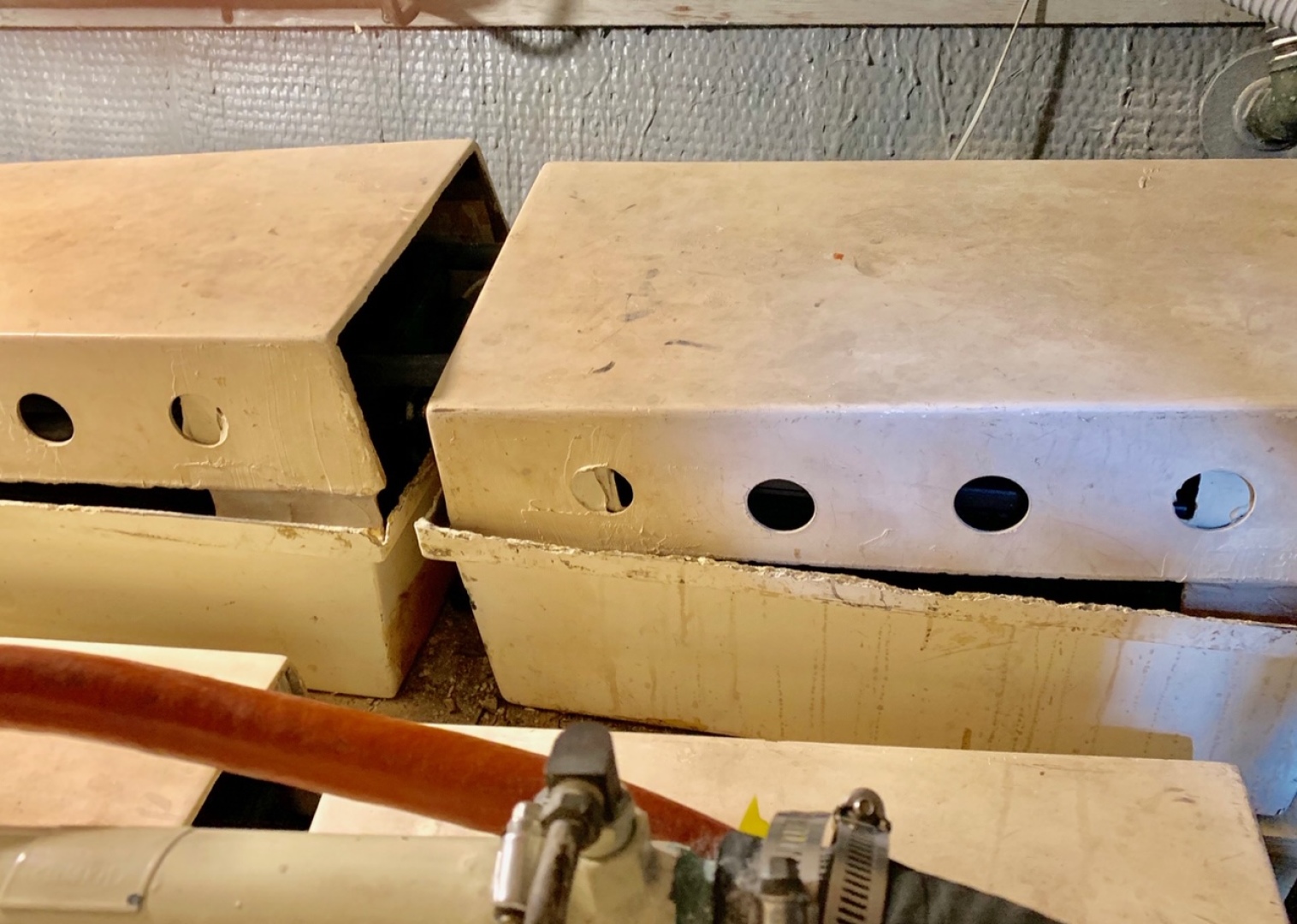 Picure of Morning Star