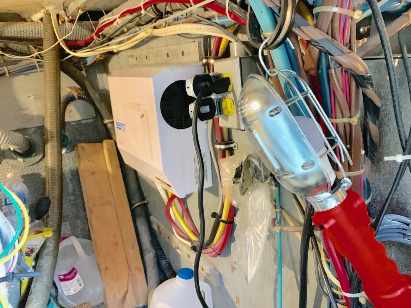 Picure of Morning Star