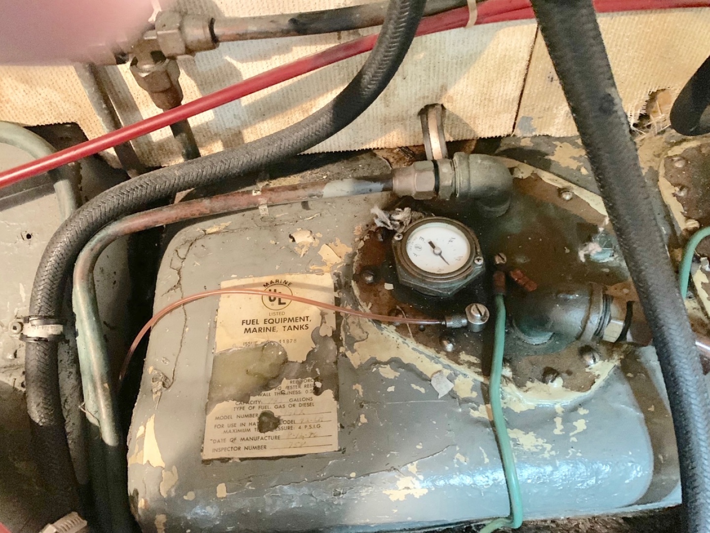 Picure of Morning Star