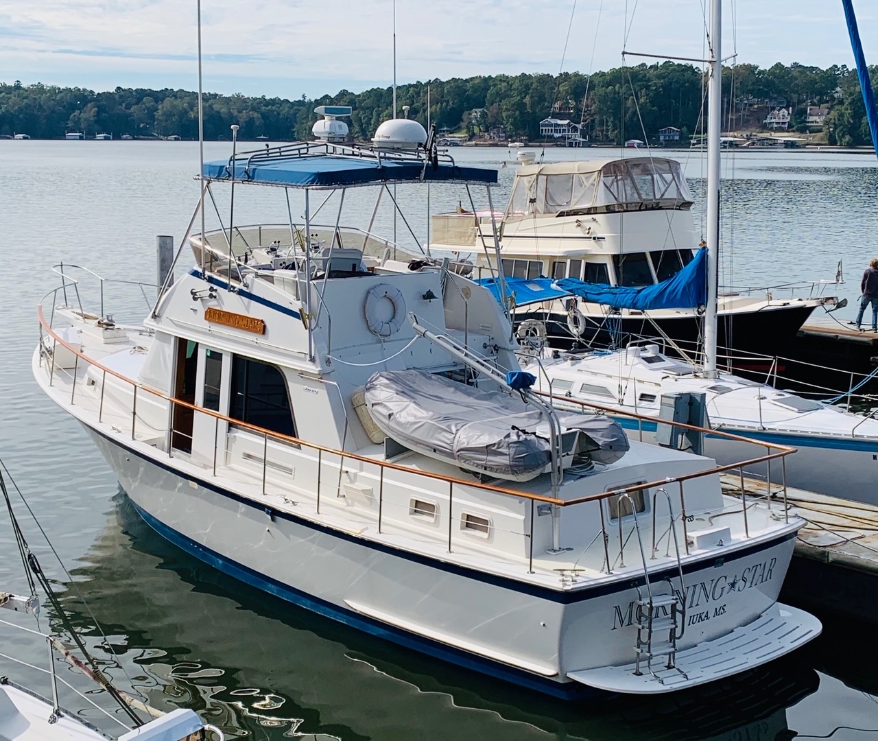 Picure of Morning Star