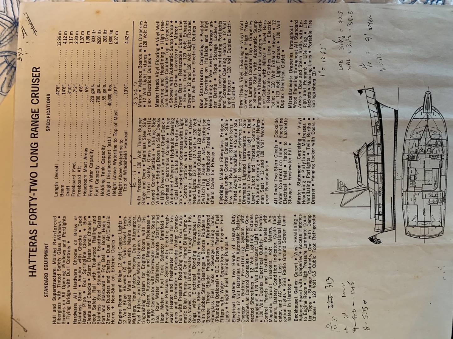 Picure of Morning Star