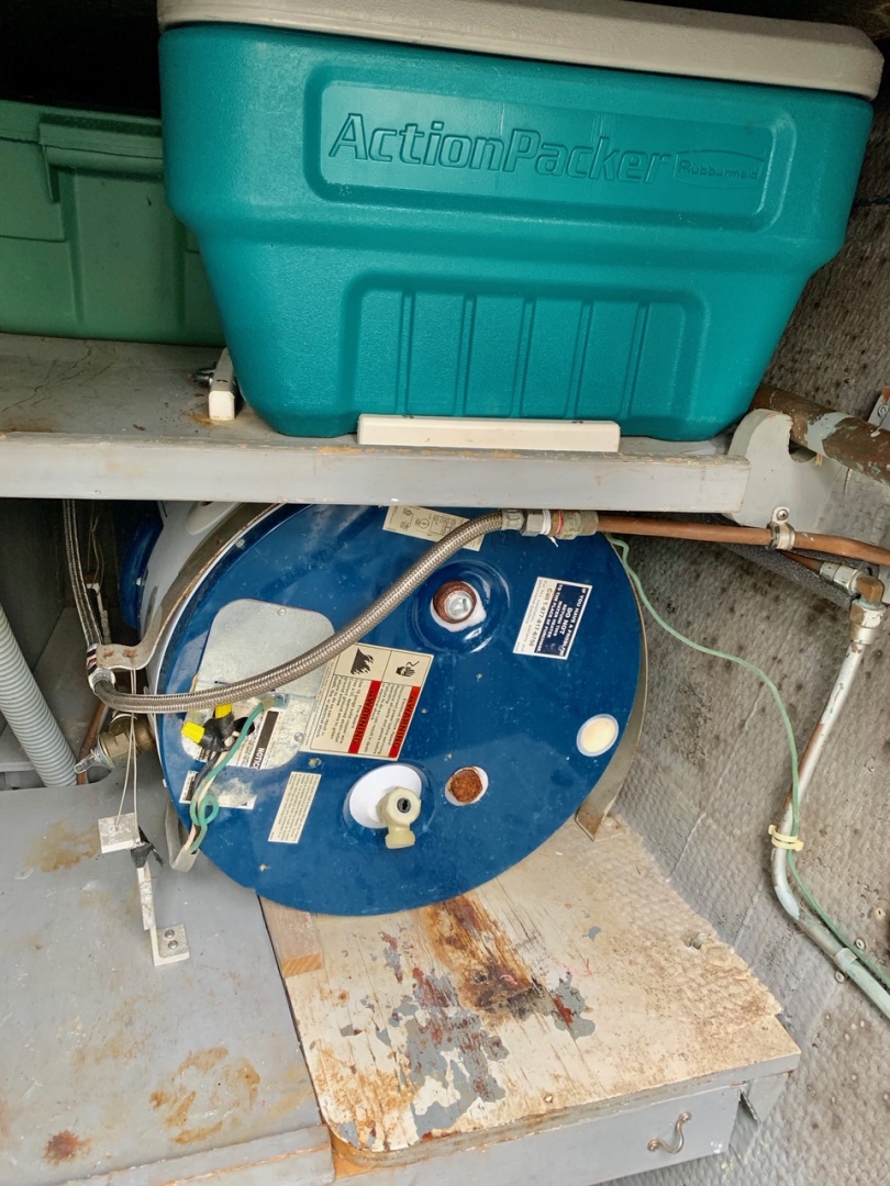 Picure of Morning Star