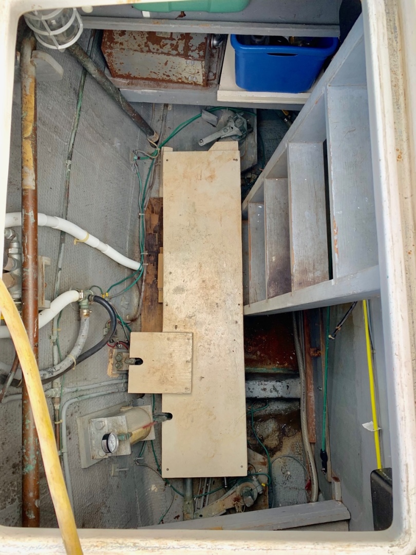 Picure of Morning Star