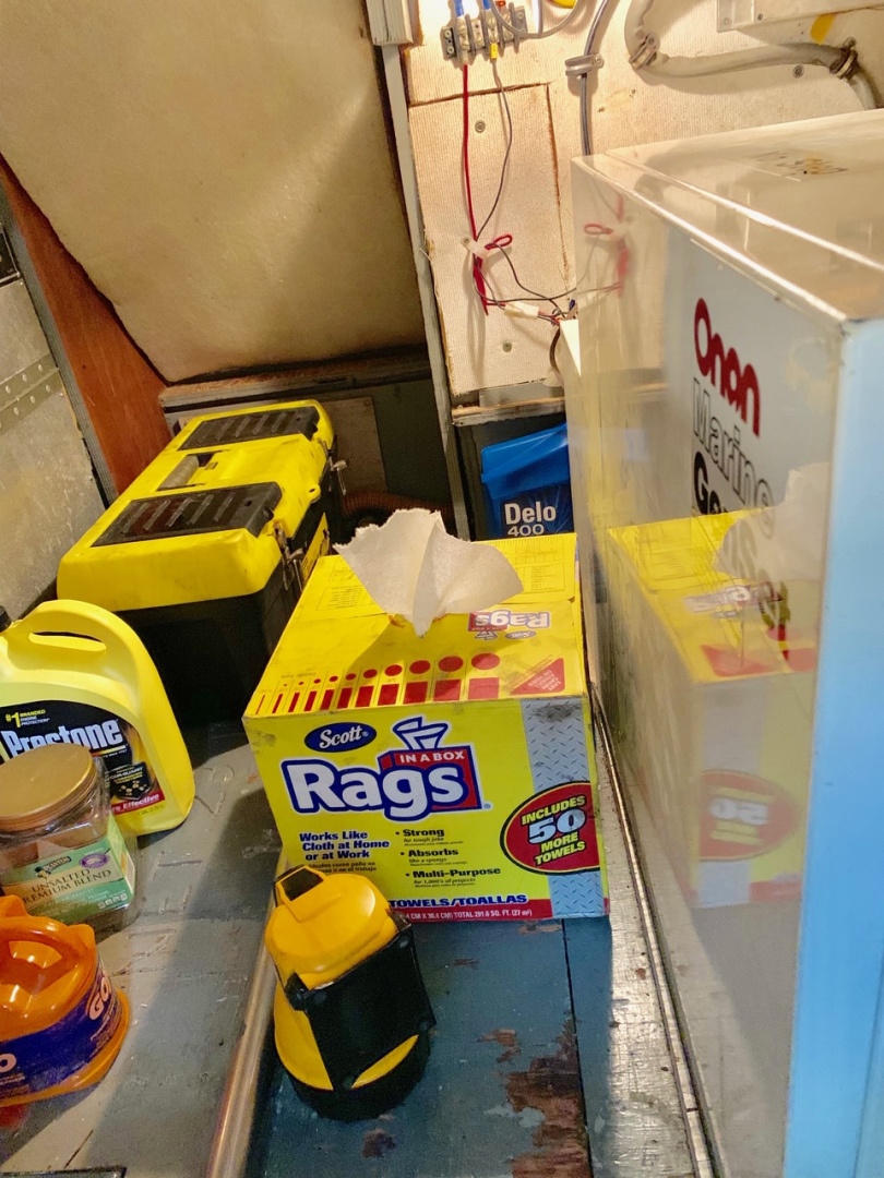 Picure of Morning Star