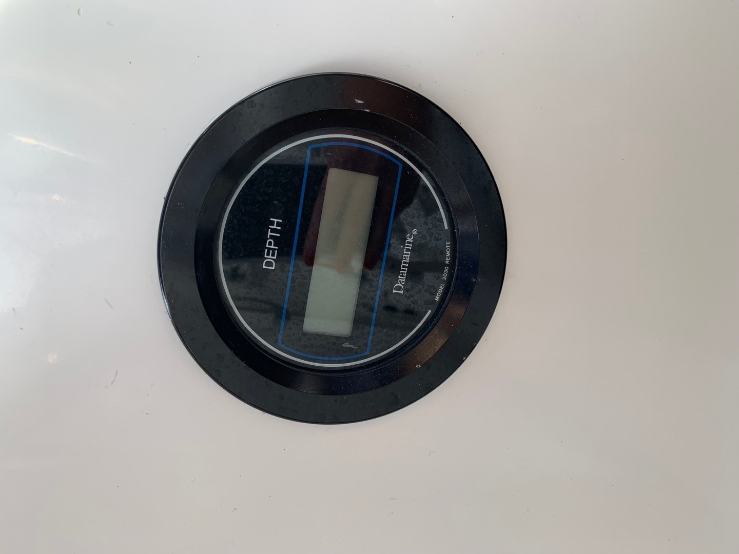 Picure of Morning Star