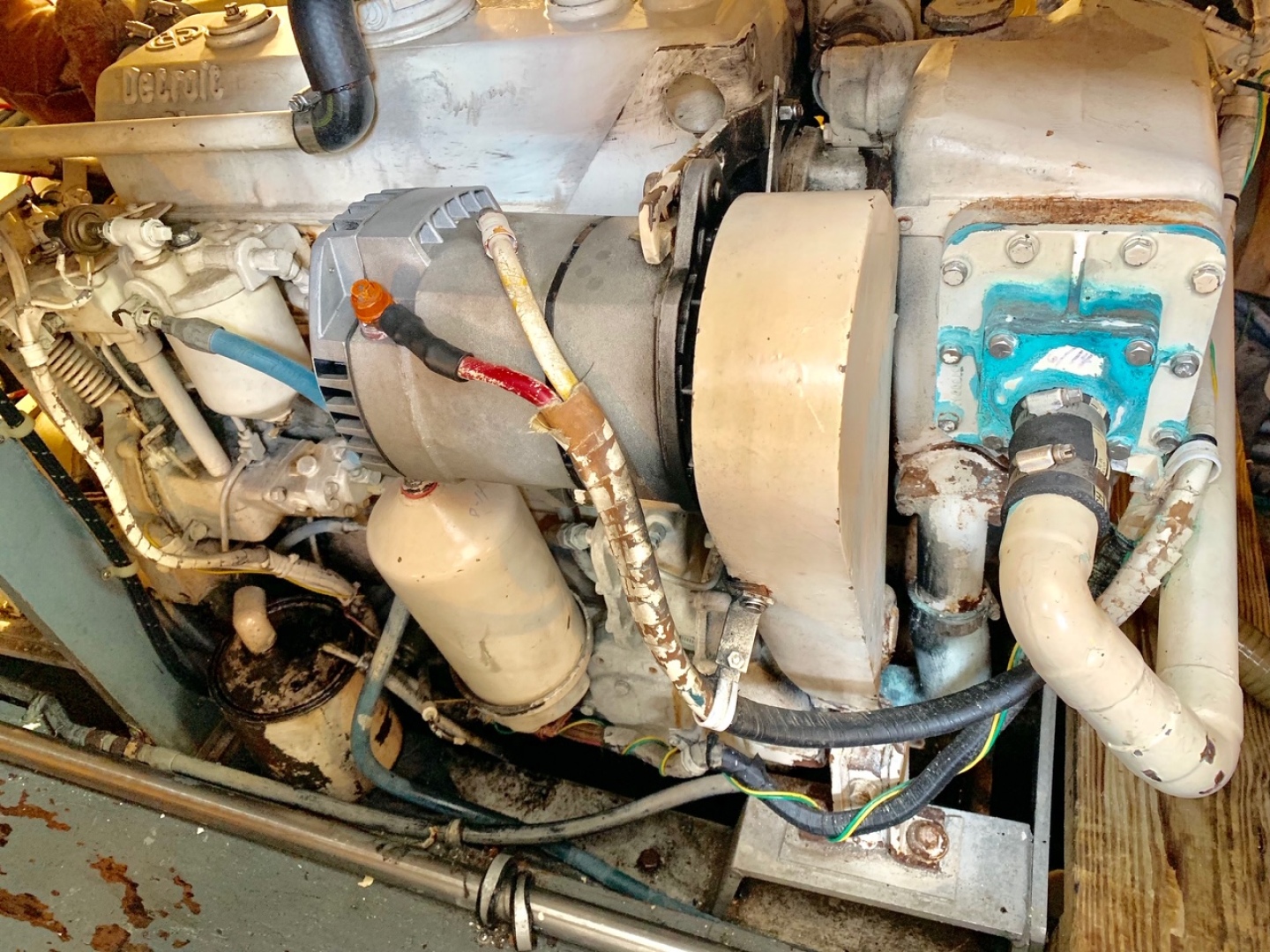 Picure of Morning Star