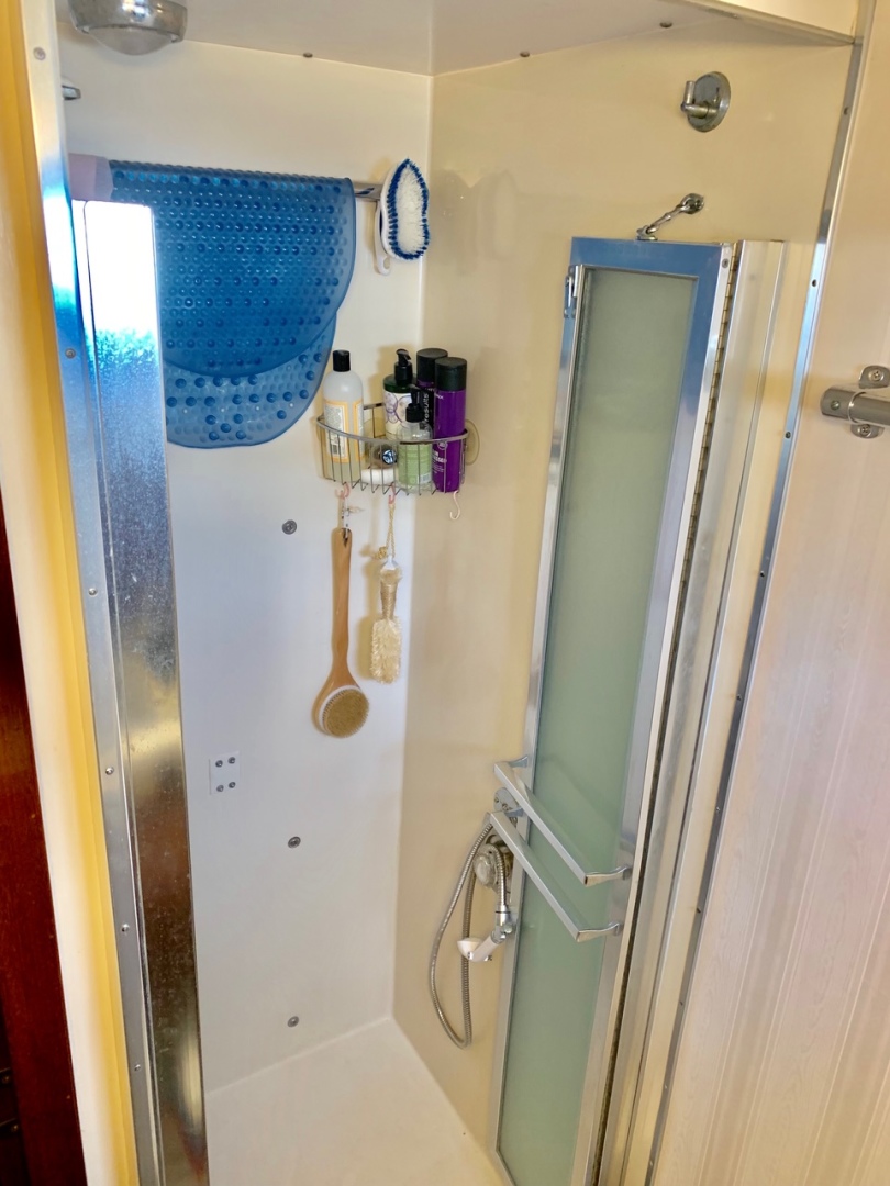 Picure of Morning Star