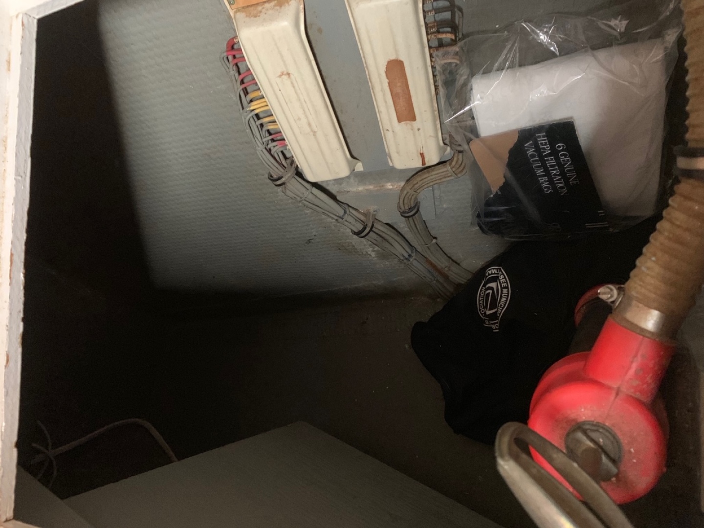 Picure of Morning Star