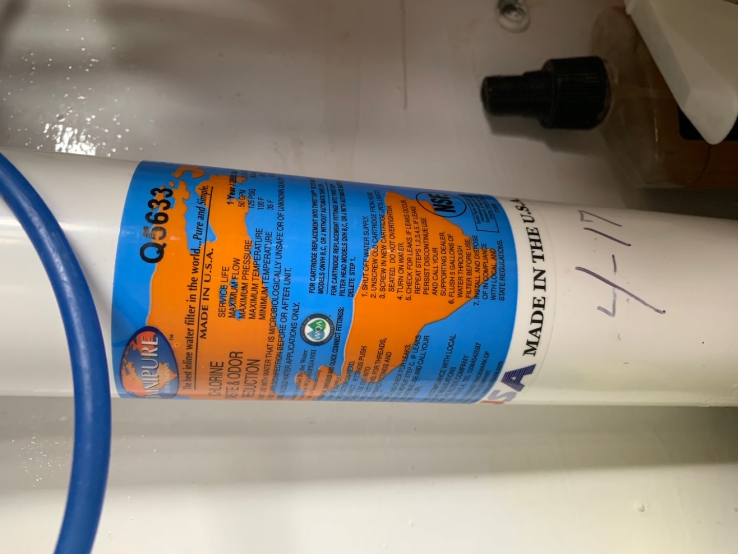 Picure of Morning Star