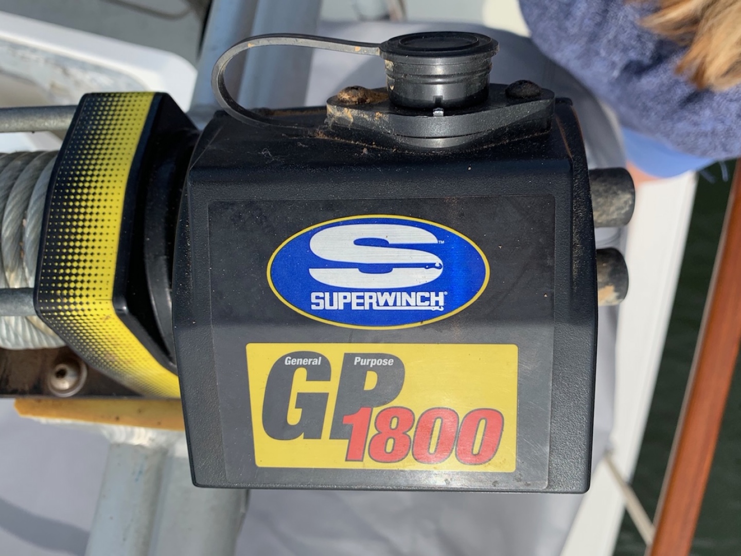 Picure of Morning Star