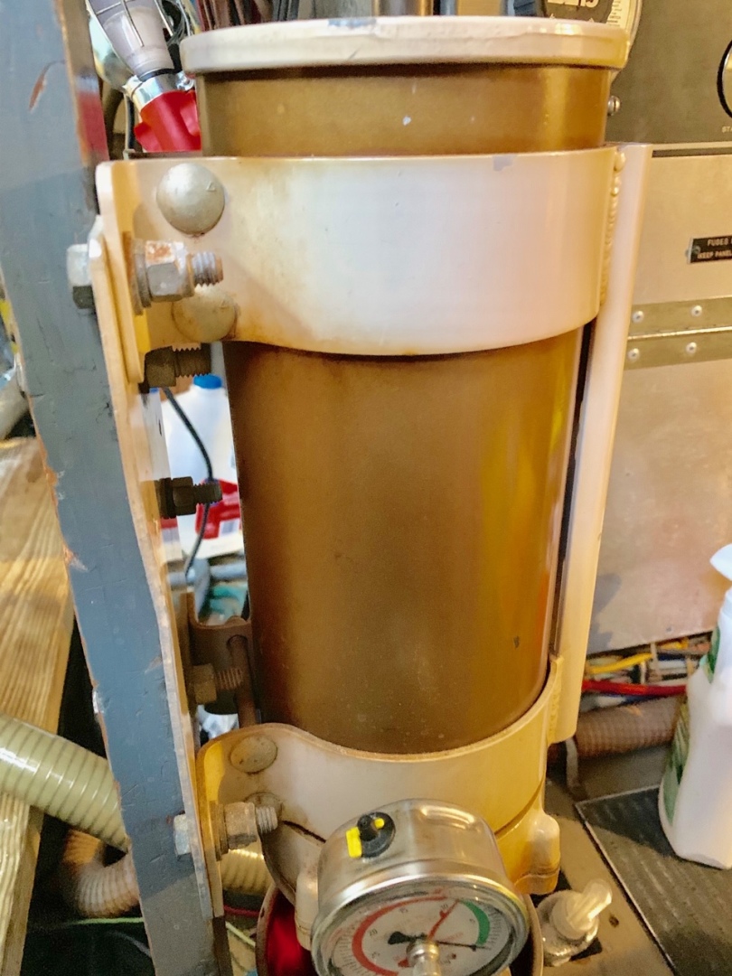 Picure of Morning Star