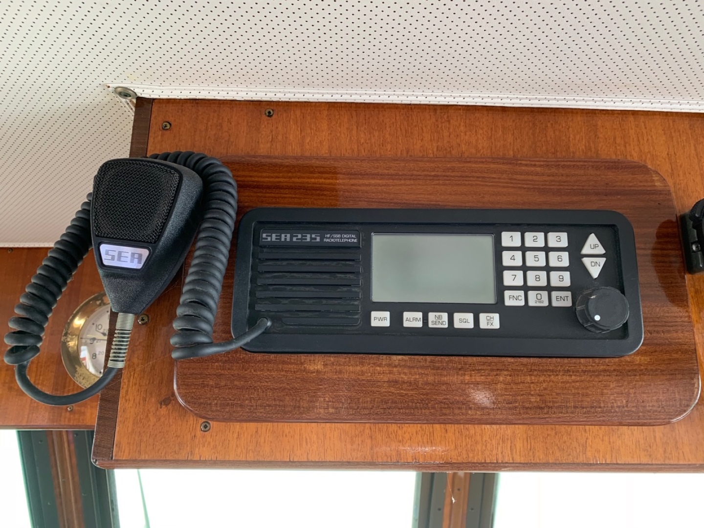 Picure of Morning Star