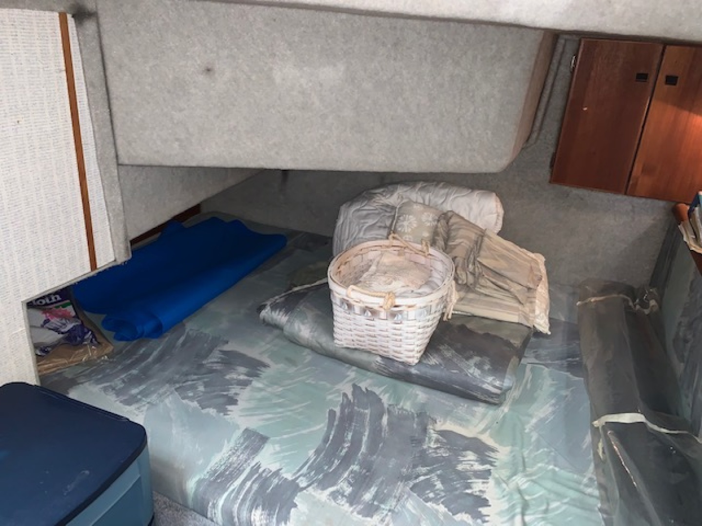 Picure of Lexie Marie II