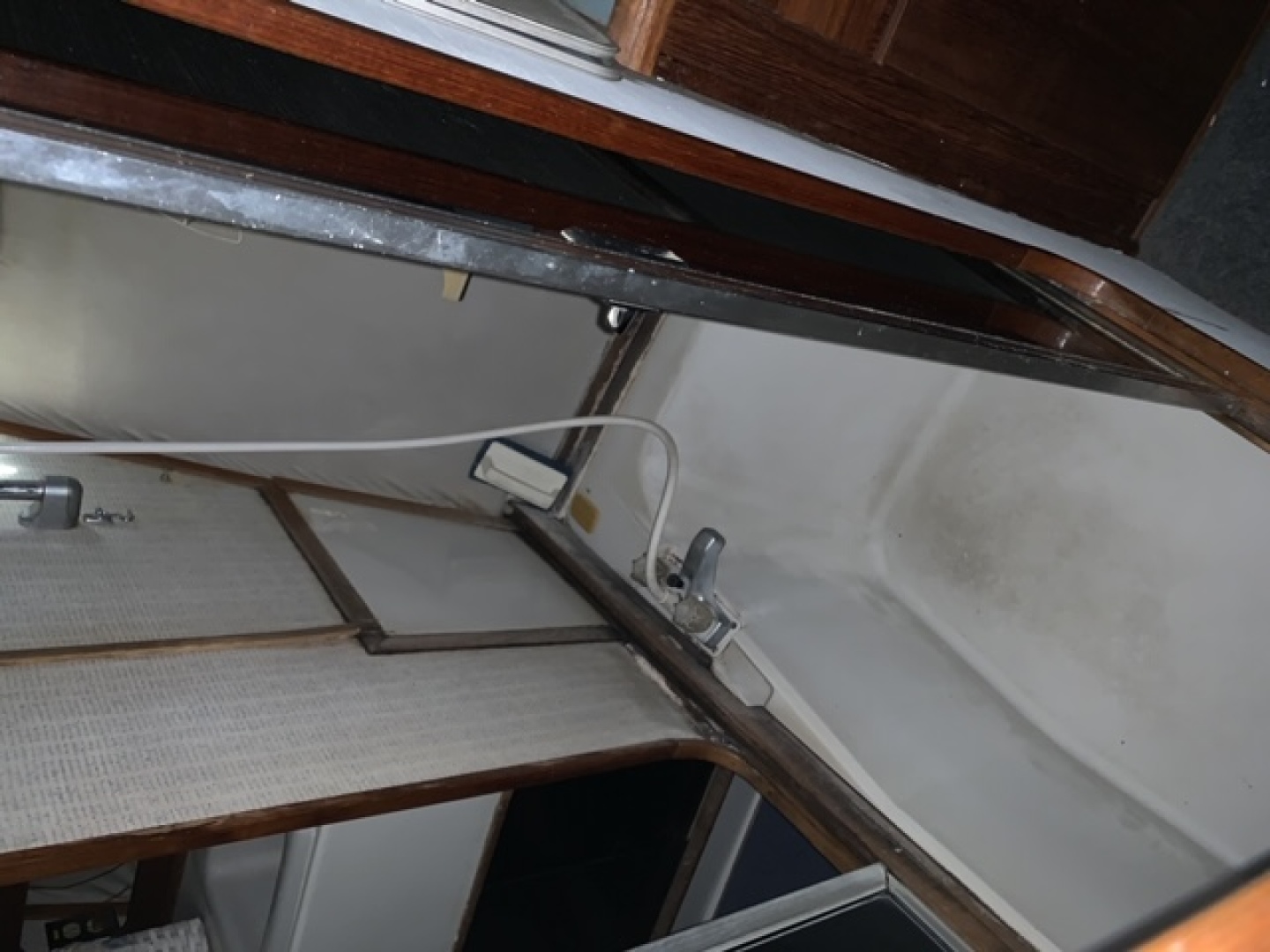 Picure of Lexie Marie II