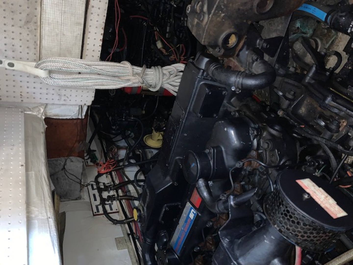 Picure of Lexie Marie II